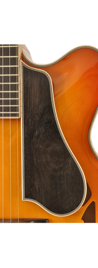 David Jünger – 2013 Archtop