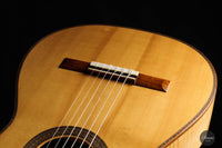 Kenny Hill - 2005 Torres 64 cm
