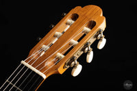 Kenny Hill - 2005 Torres 64 cm