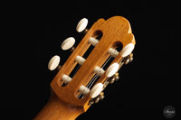 Kenny Hill - 2005 Torres 64 cm