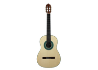 Milestones - Torres Model