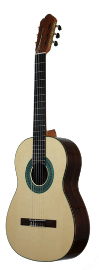 Milestones - Torres Model