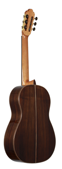 Milestones - Torres Model