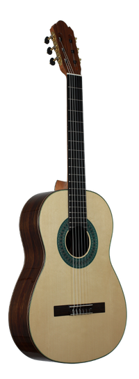 Milestones - Torres Model