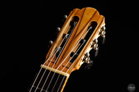 Leonardo de Gregorio/Romano Gambacorta - 2024 No. 15 REG 2024 Limited Edition Doubletop
