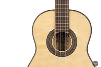 Leonardo de Gregorio/Romano Gambacorta - 2024 No. 15 REG 2024 Limited Edition Doubletop