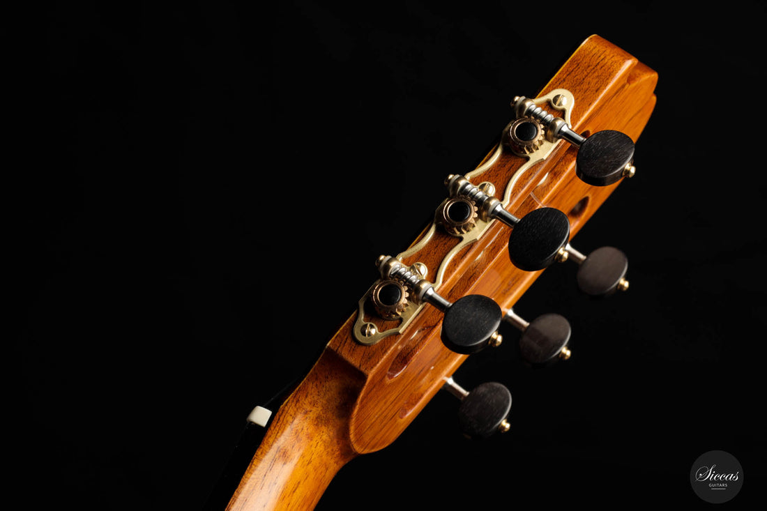 Lorenzo Frignani – 2022 Cedar No. 252
