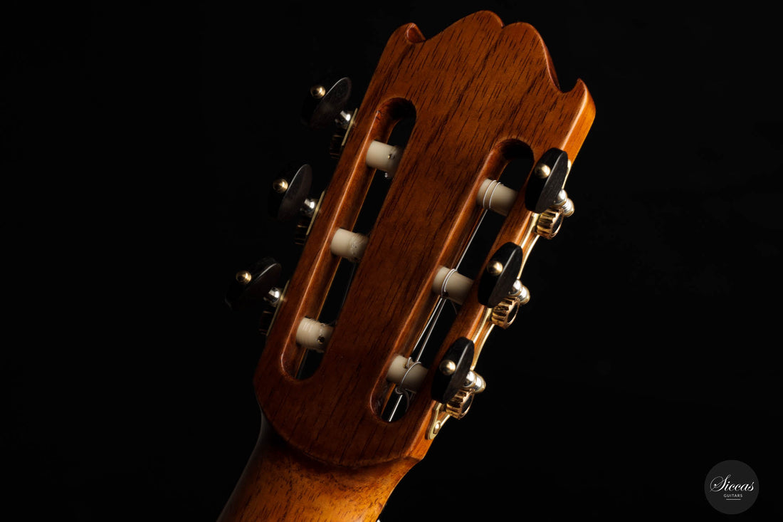 Lorenzo Frignani – 2022 Cedar No. 252