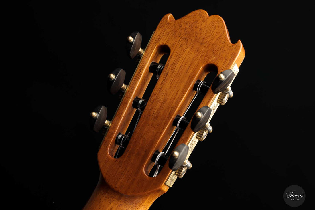 Lorenzo Frignani - 2022 No. 250