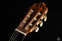 Esteve -  Model 12 Cedar