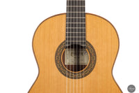 Esteve -  Model 12 Cedar