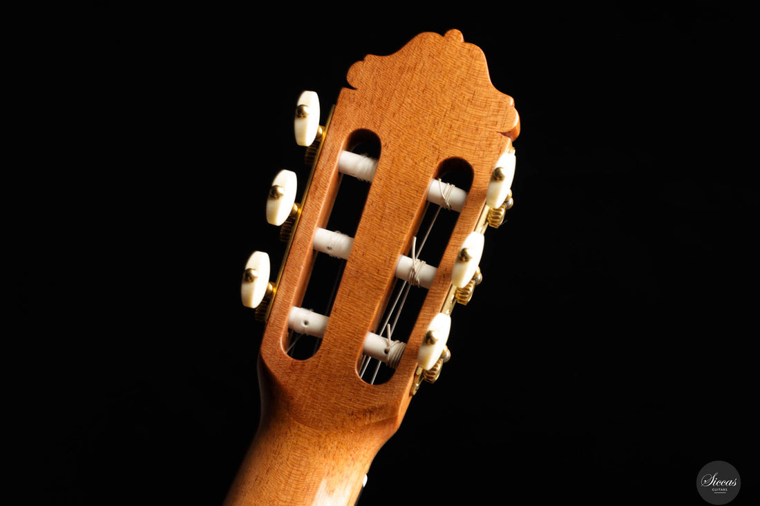 Manuel Adalid - "Tradicional" 2024