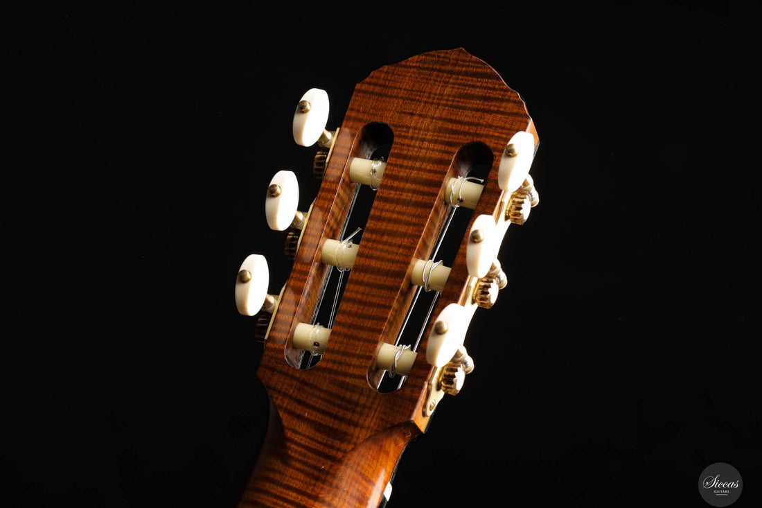Marco Maguolo - 20th Anniversary No. 296 REG 2024 Lattice