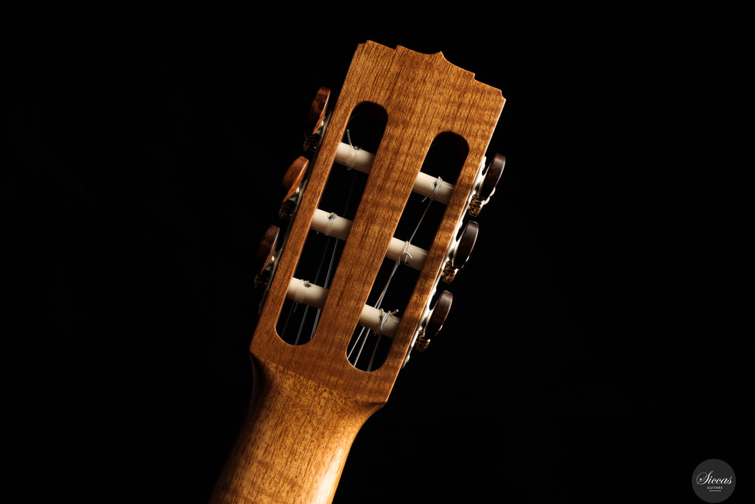 Marcos Domato Fernàndez - 2025 Concierto