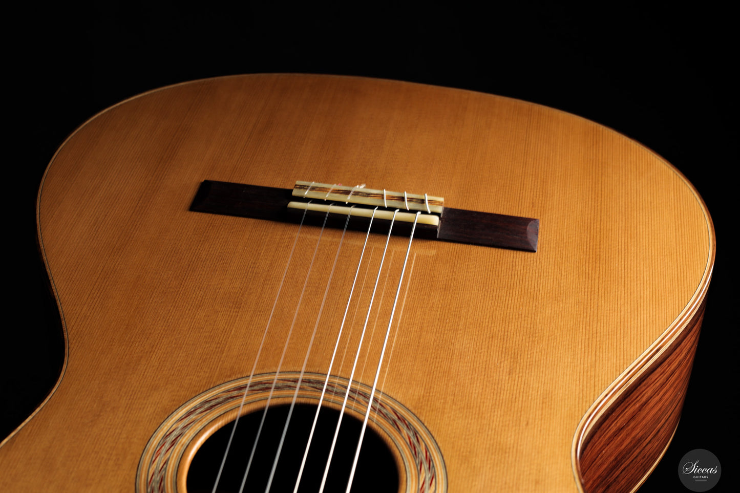 Marcos Domato Fernàndez - 2025 Concierto