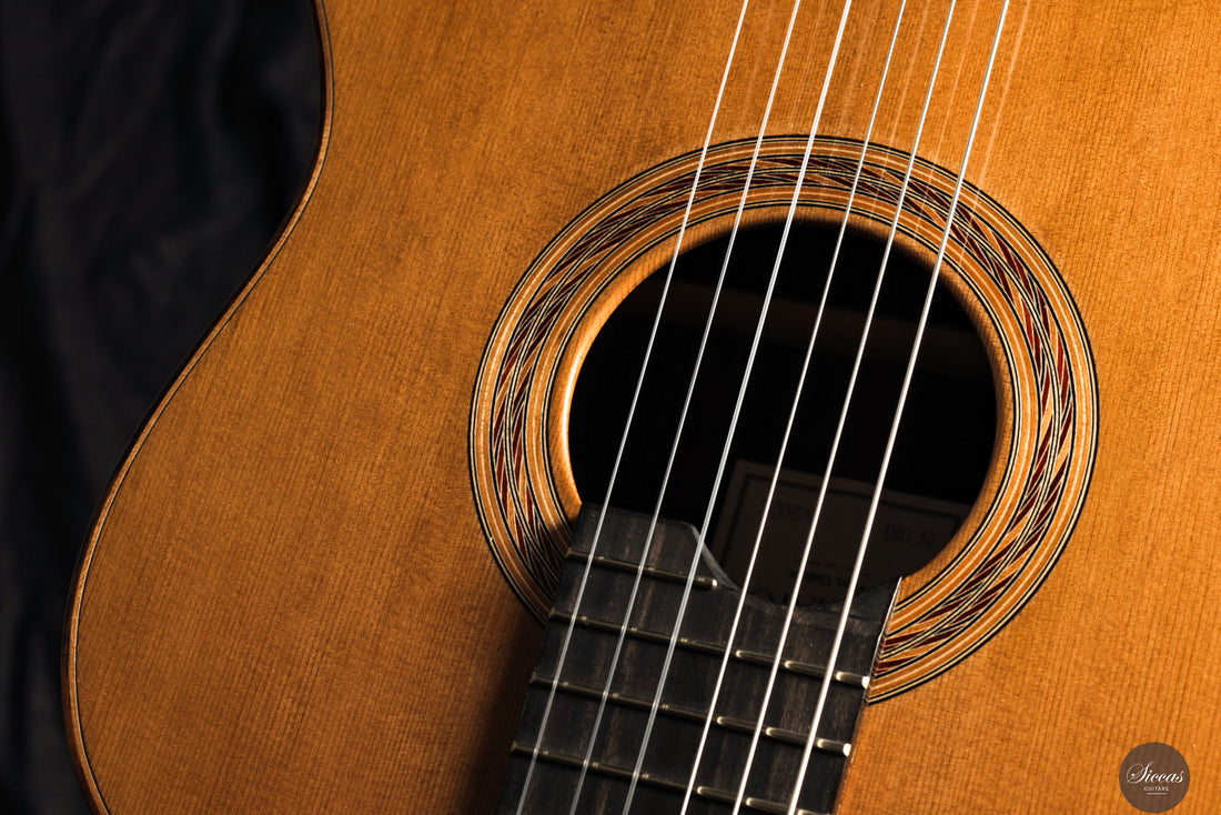 Marcos Domato Fernàndez - 2025 Concierto