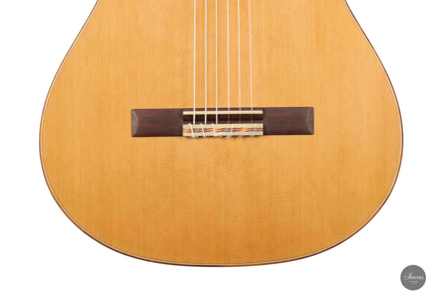 Marcos Domato Fernàndez - 2025 Concierto