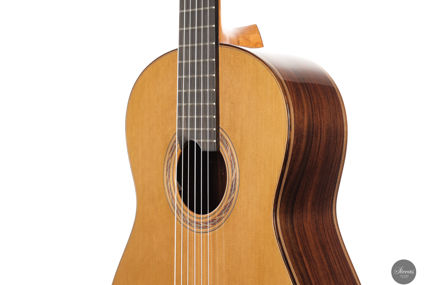 Marcos Domato Fernàndez - 2025 Concierto