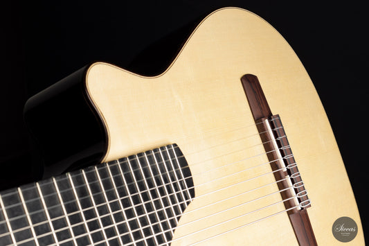 Martin Bretscher - 2021 10-string Lattice img-2