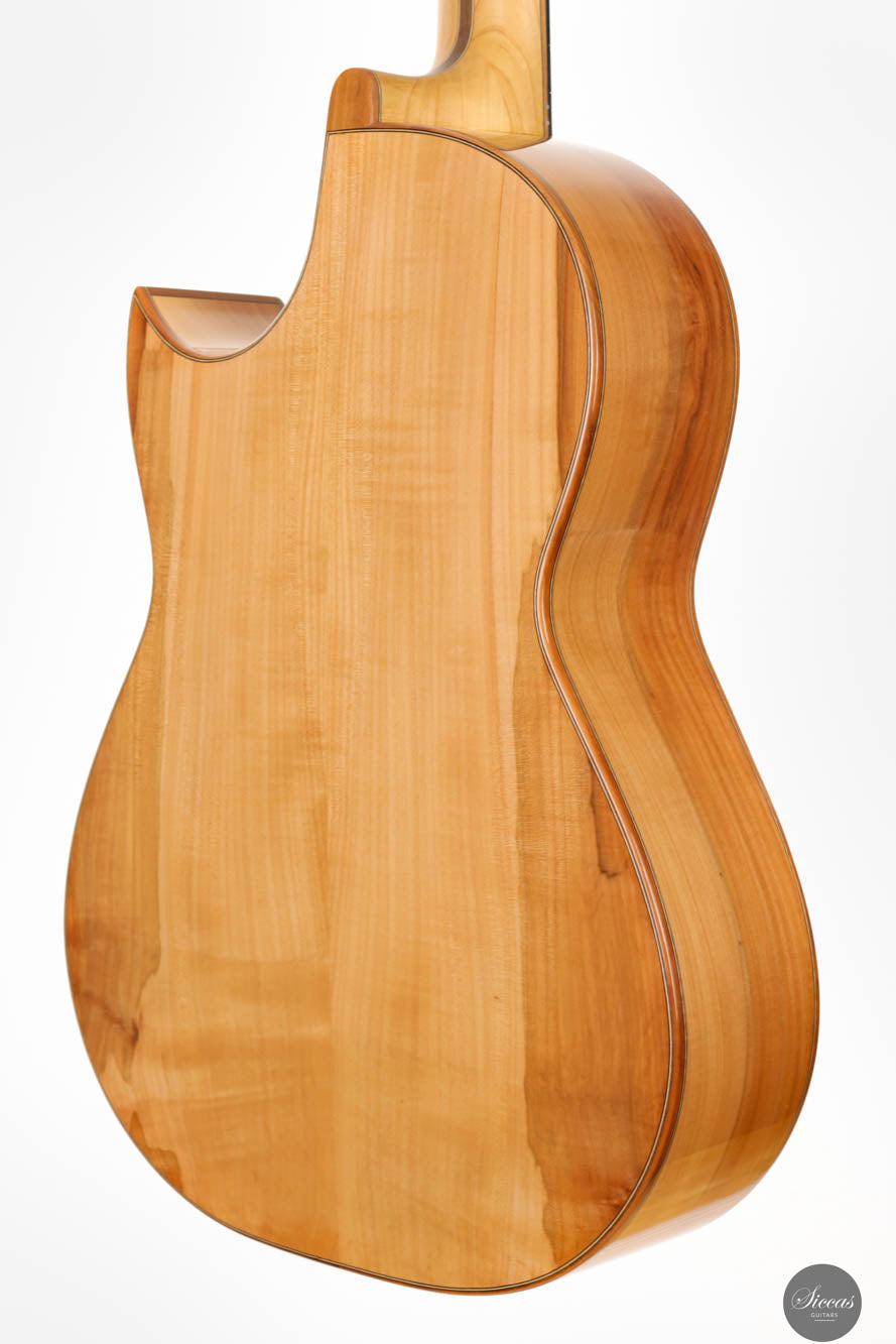 Martin Bretscher - 2023 Custom Bluesmate Steel String