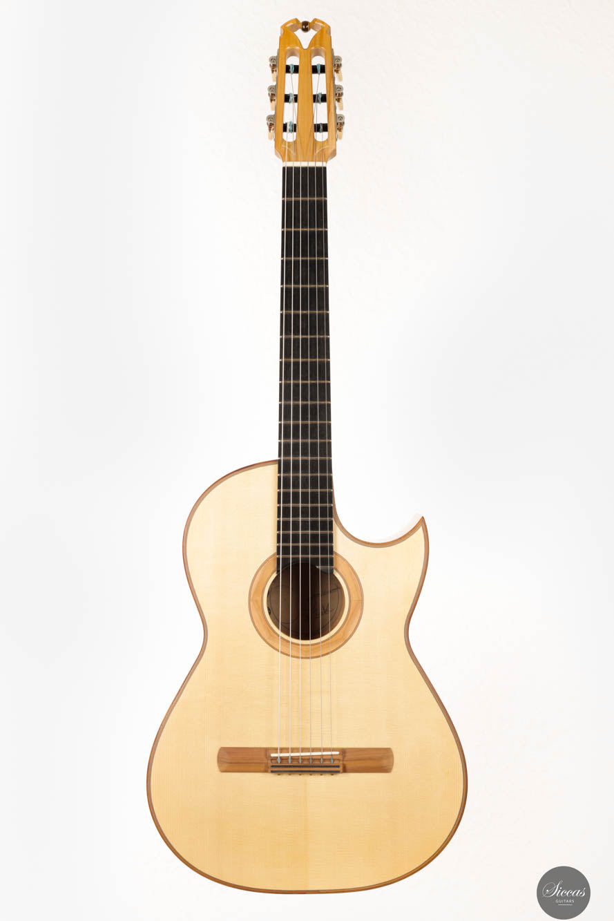Martin Bretscher - 2023 Custom Bluesmate Steel String