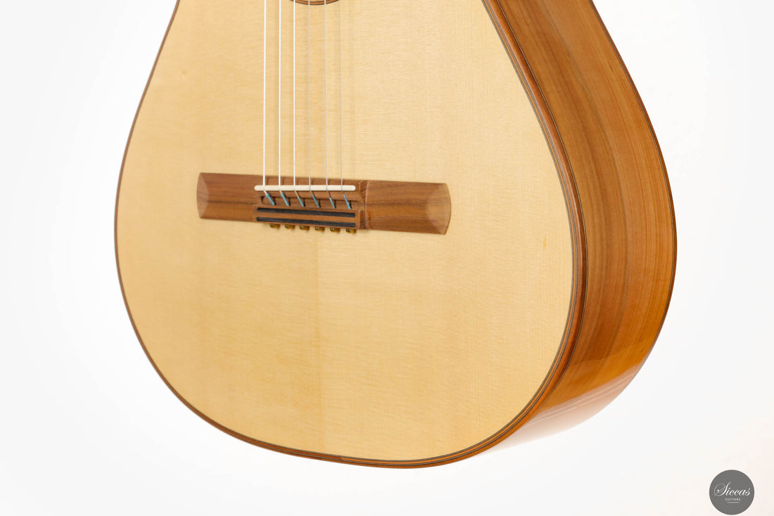 Martin Bretscher - 2023 Custom Bluesmate Steel String