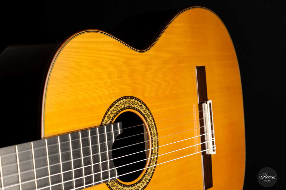 Masaki Sakurai - 2022 Concert J Cedar