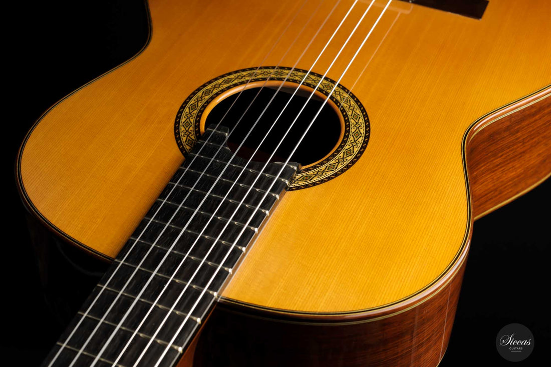 Masaki Sakurai - 2022 Concert J Cedar