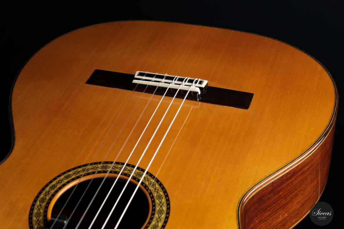 Masaki Sakurai - 2022 Concert J Cedar