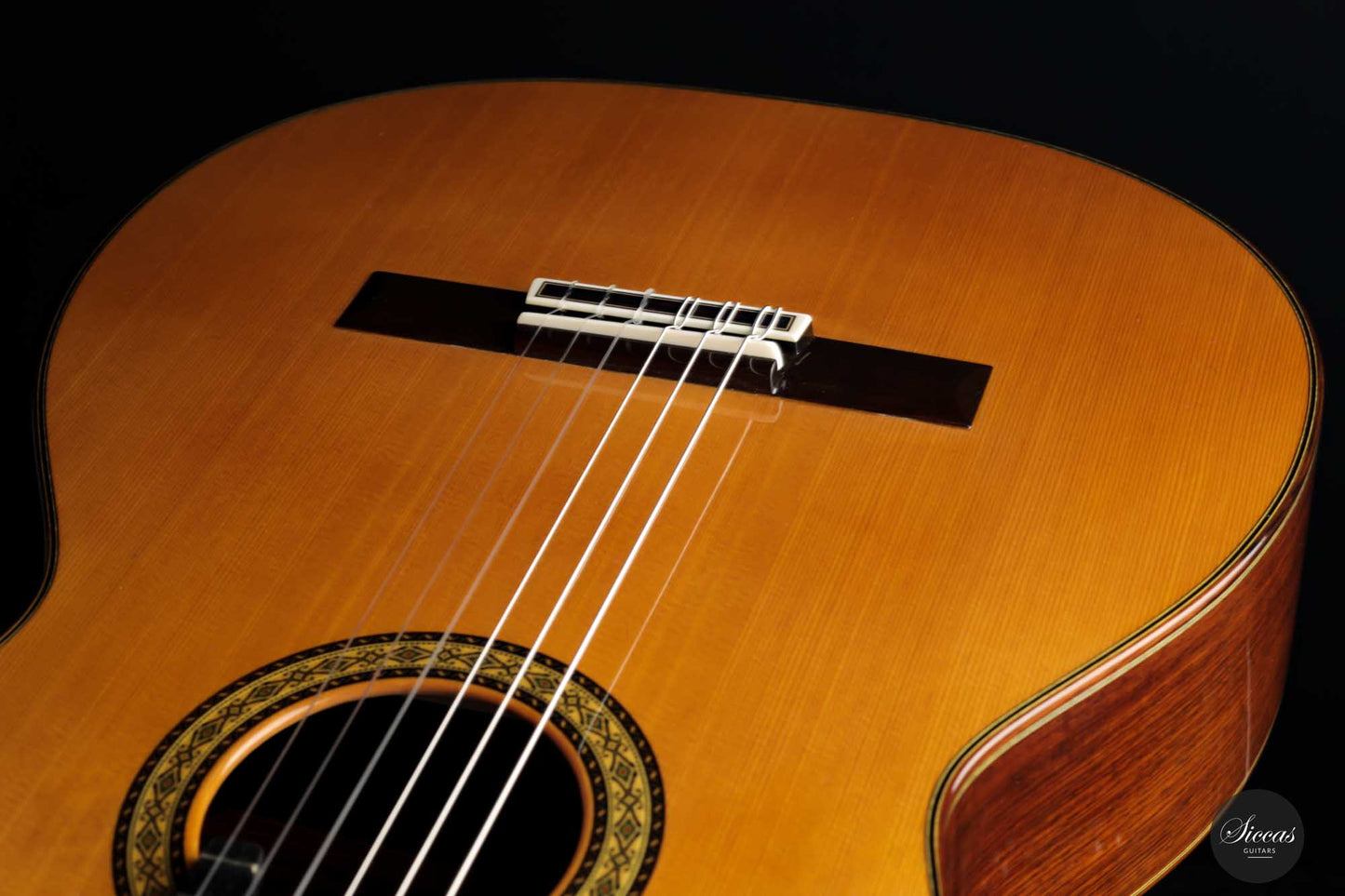 Masaki Sakurai - 2022 Concert J Cedar