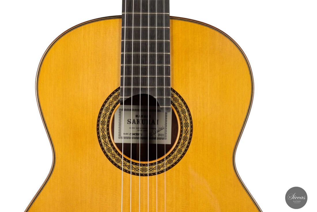 Masaki Sakurai - 2022 Concert J Cedar