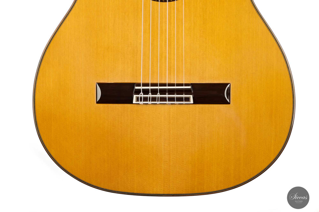 Masaki Sakurai - 2022 Concert J Cedar