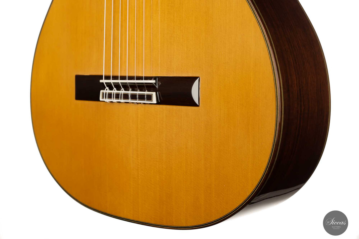 Masaki Sakurai - 2022 Concert J Cedar