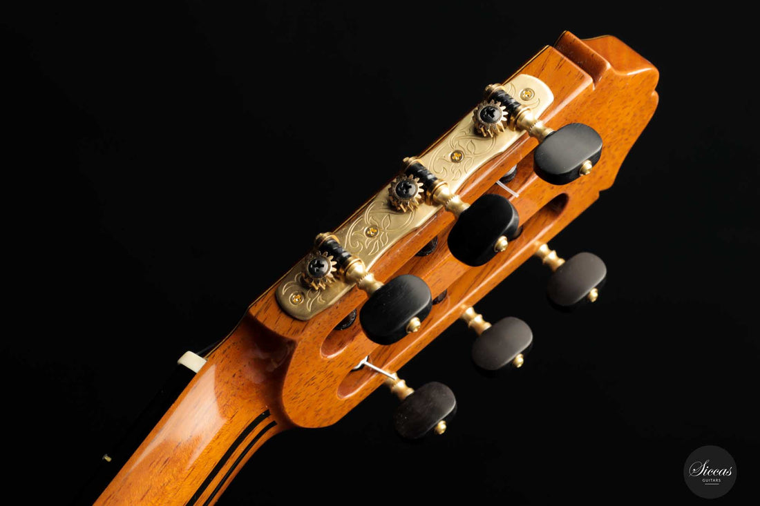 Masaki Sakurai - 2022 Concert J Cedar