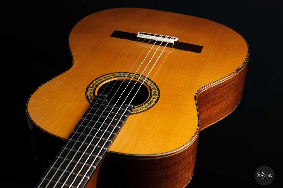 Masaki Sakurai - 2022 Concert J Cedar