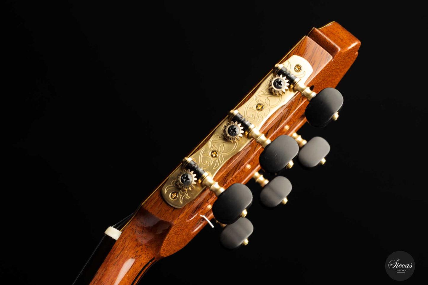 Masaki Sakurai - 2023 Concert-J Fichte 64 cm