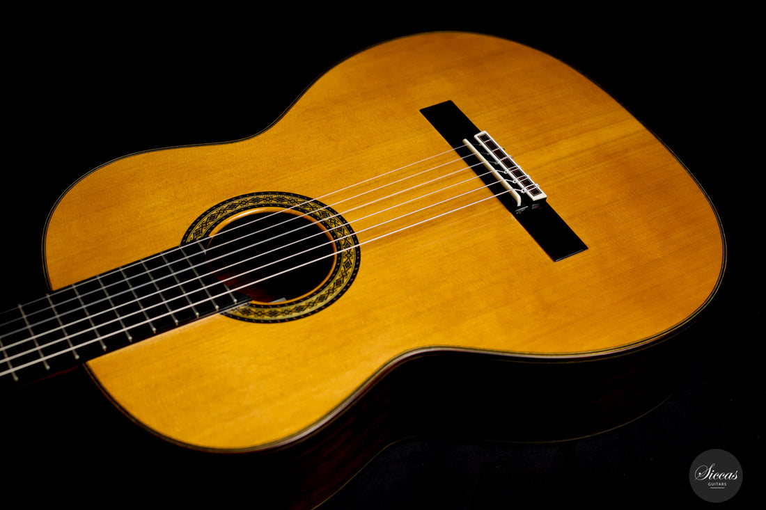 Masaki Sakurai - 2021 Concert J Cedar