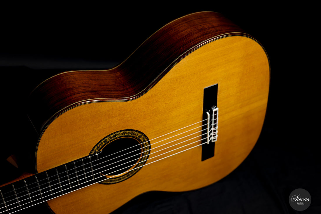 Masaki Sakurai - 2021 Concert J Cedar