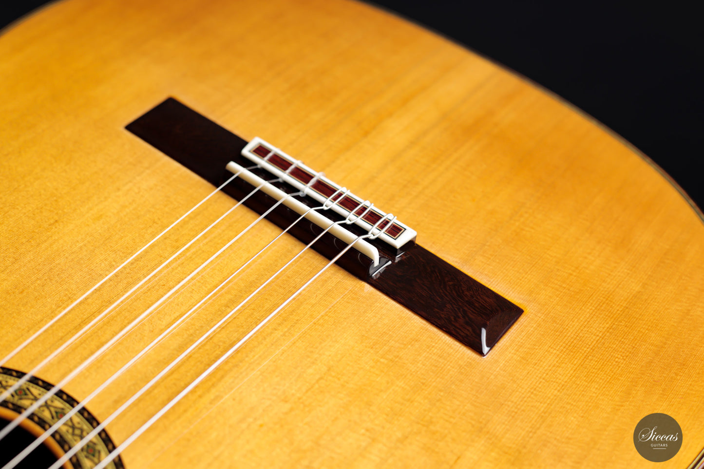 Masaki Sakurai - 2021 Concert J Cedar