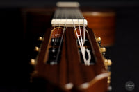 Masaki Sakurai - 2021 Concert J Cedar