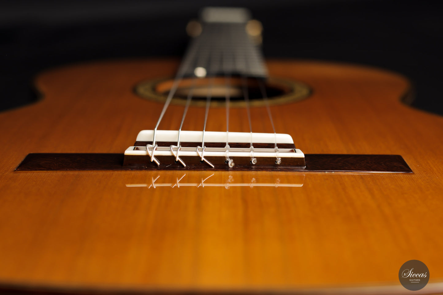 Masaki Sakurai - 2021 Concert J Cedar