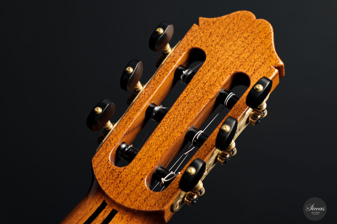 Masaki Sakurai - 2021 Concert J Cedar