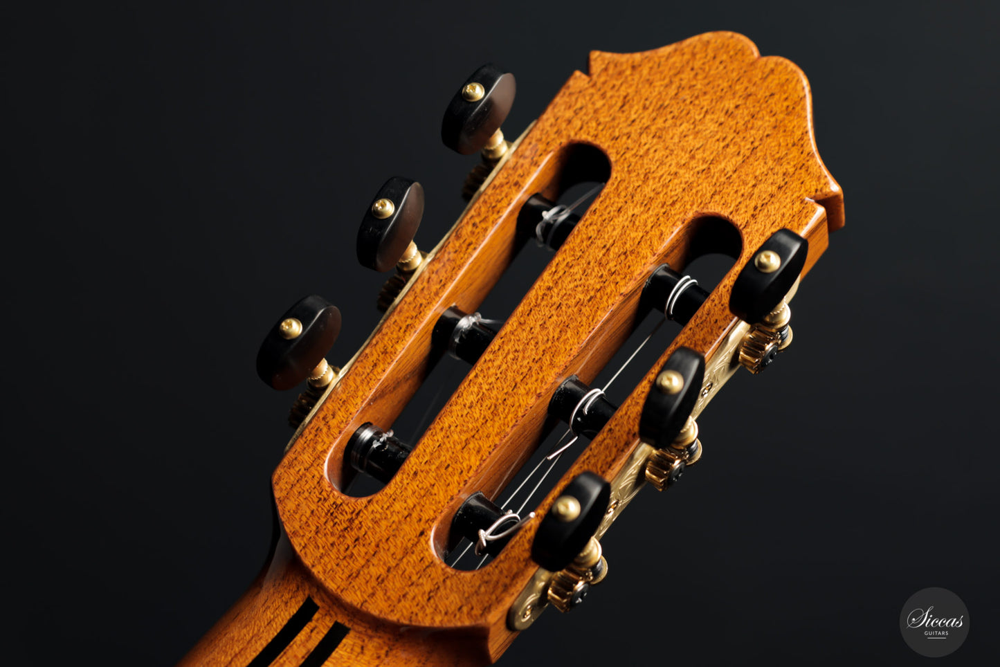 Masaki Sakurai - 2021 Concert J Cedar