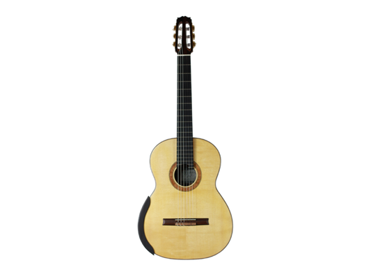 Petr Matoušek – 2009