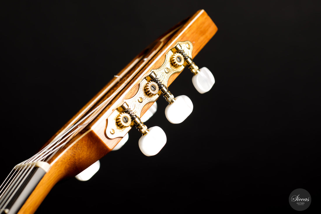 Max Cuker - 2021 Birute