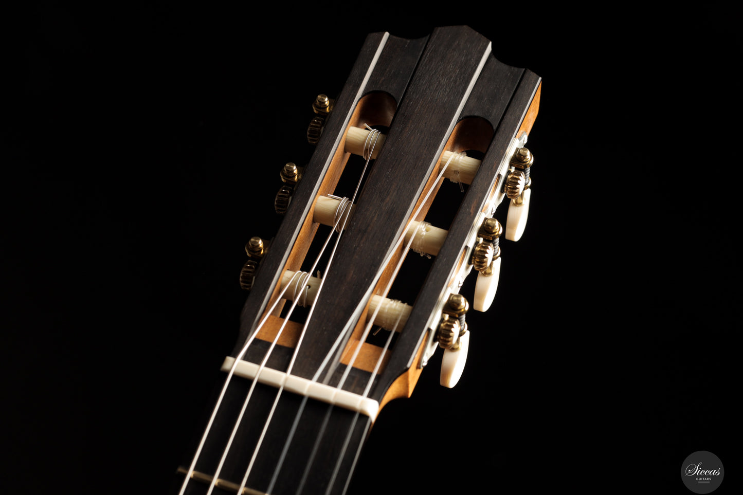 Maxwell T. Sipe - 2025 No. 117