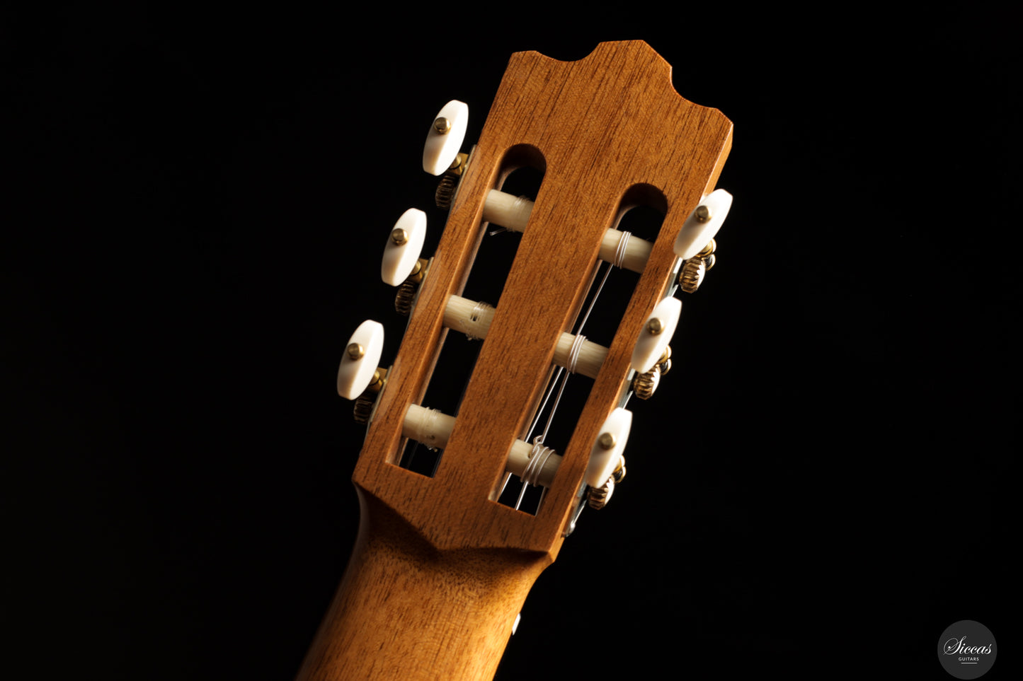 Maxwell T. Sipe - 2025 No. 117