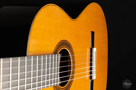 Michel Brück - 2023 Doubletop img-2