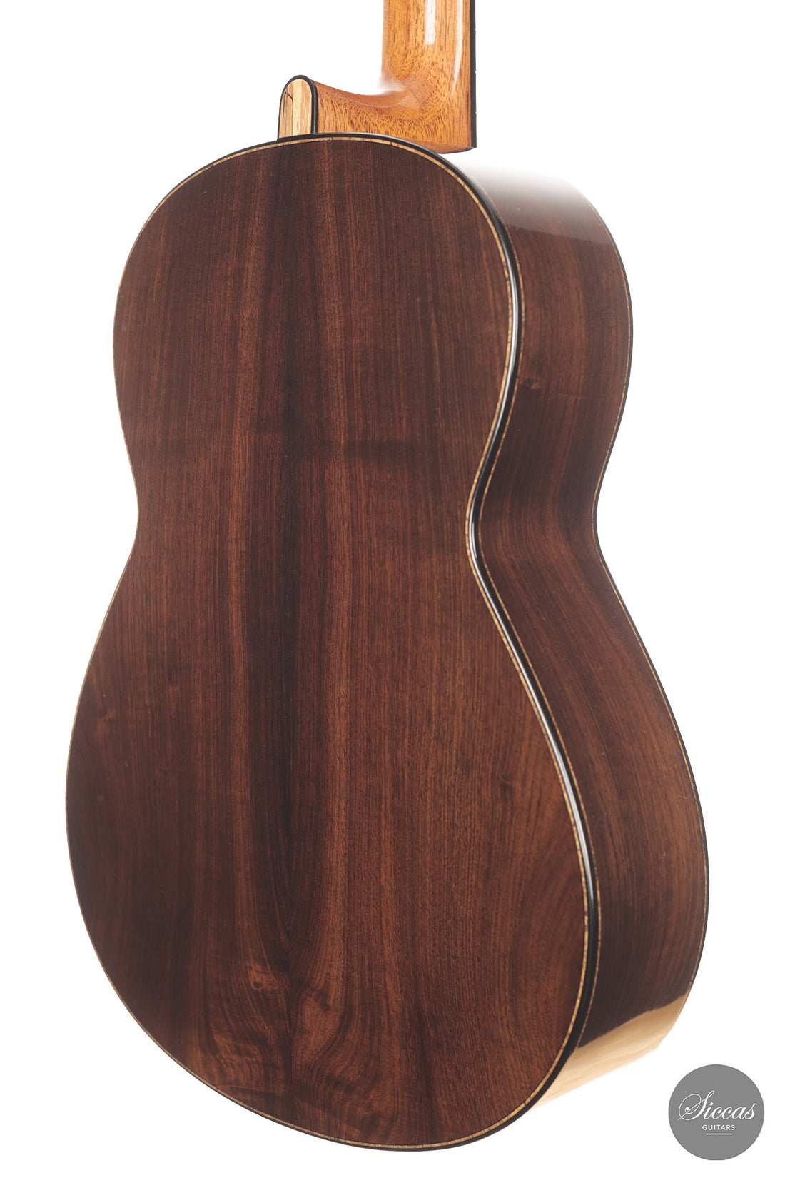 Michele Della Giustina - 2025 No. 438 - Back and sides