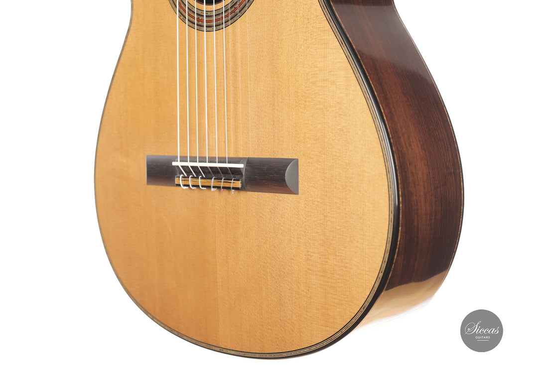 Michele Della Giustina - 2025 No. 438 - Front view